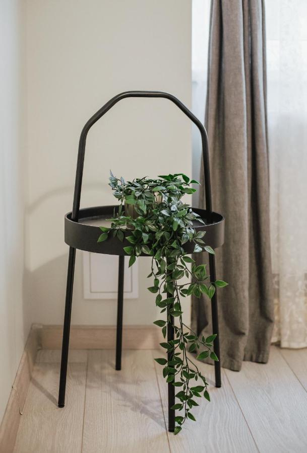 Rozenstein Design Apartment Brocēni 外观 照片